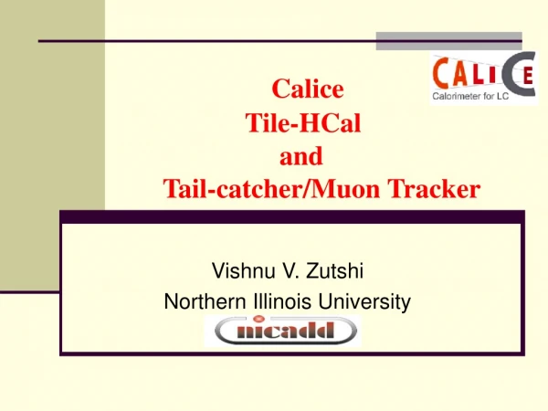 Calice                   Tile-HCal                        and      Tail-catcher/Muon Tracker