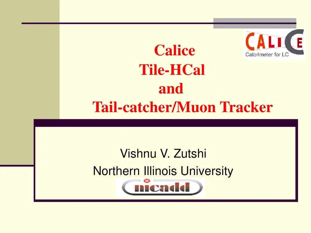 calice tile hcal and tail catcher muon tracker