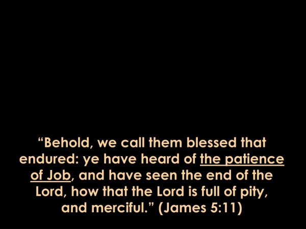 “Behold, we call them blessed that endured: ye have heard of  the patience