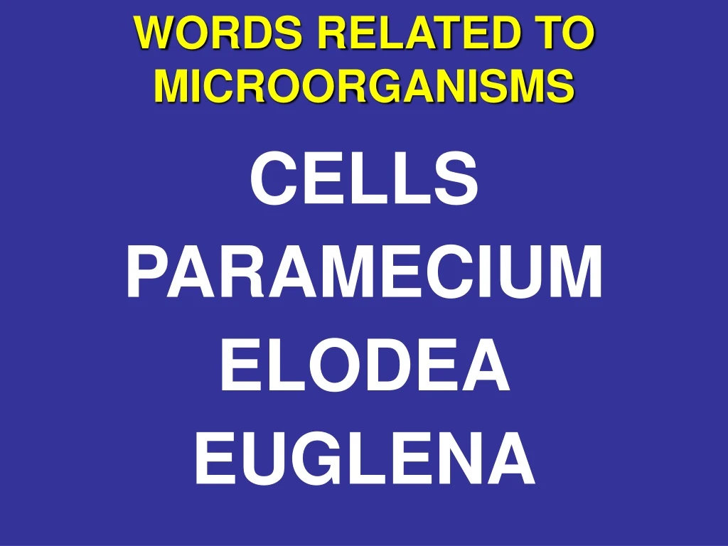 words related to microorganisms