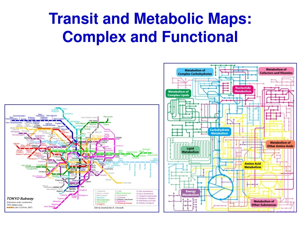 transit and metabolic maps complex and functional