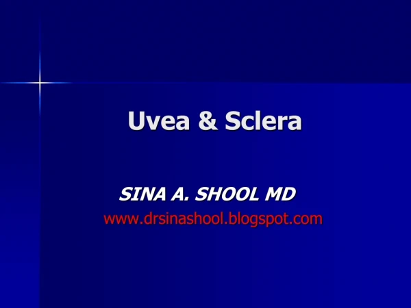 Uvea &amp; Sclera