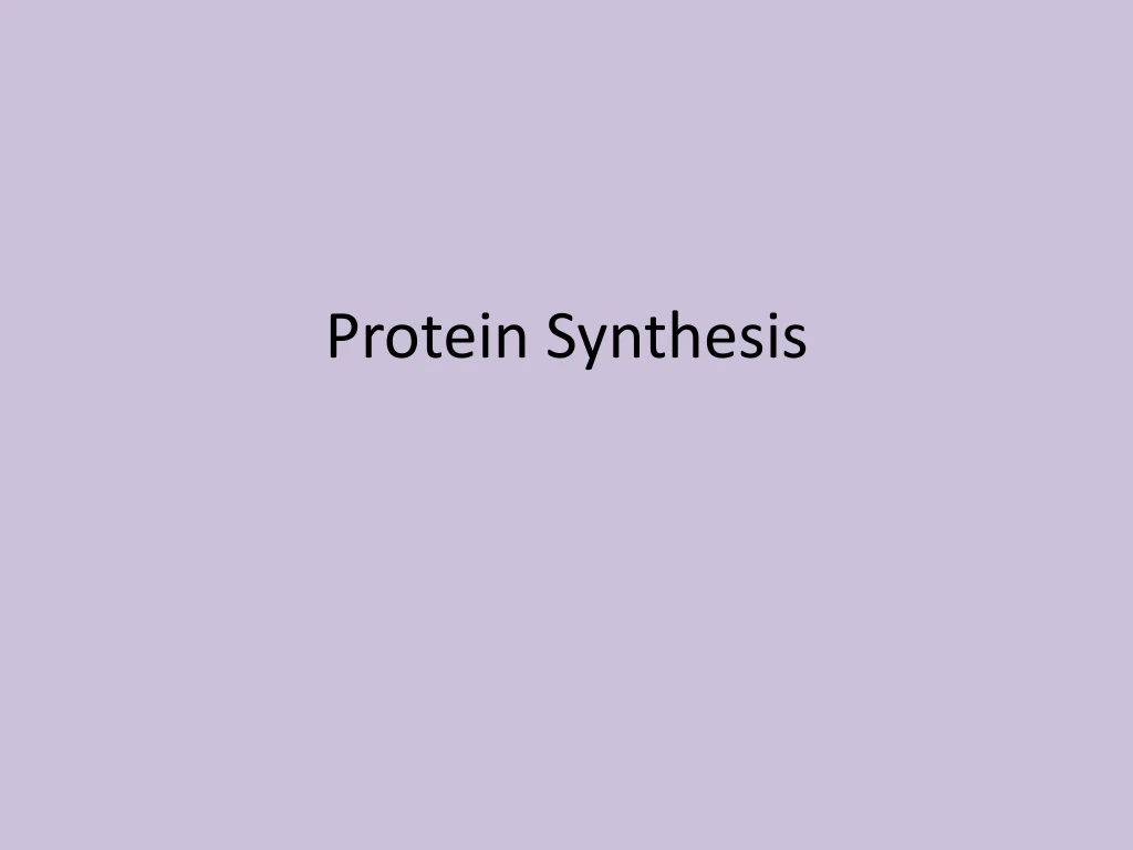 protein synthesis