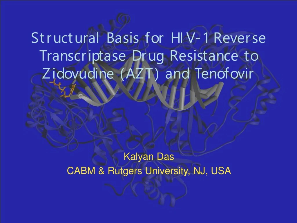 structural basis for hiv 1 reverse transcriptase drug resistance to zidovudine azt and tenofovir