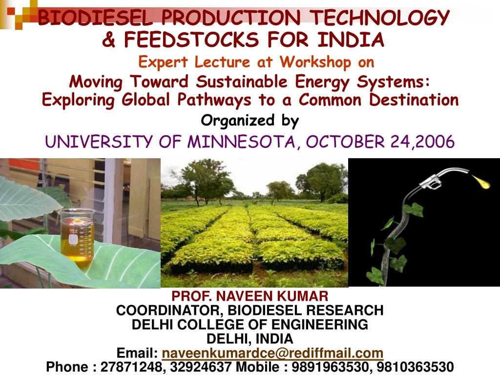 biodiesel production technology feedstocks