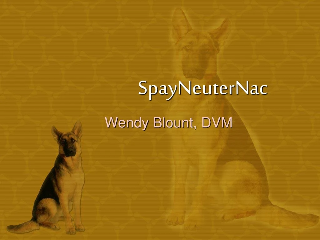 spayneuternac