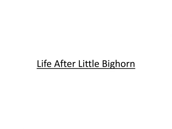 Life After Little Bighorn