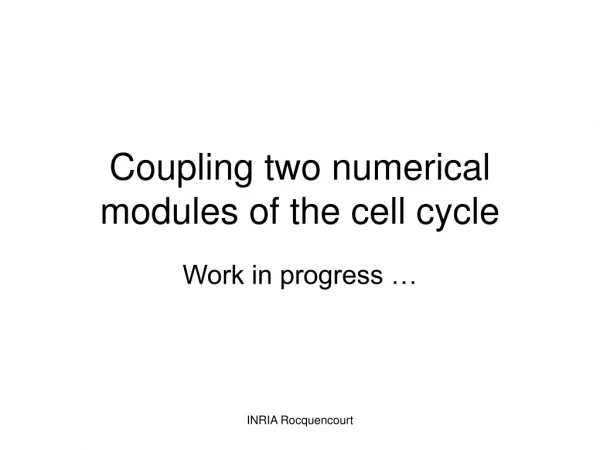 Coupling two numerical modules of the cell cycle