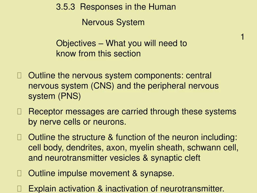 3 5 3 responses in the human nervous system