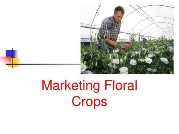 Marketing Floral Crops