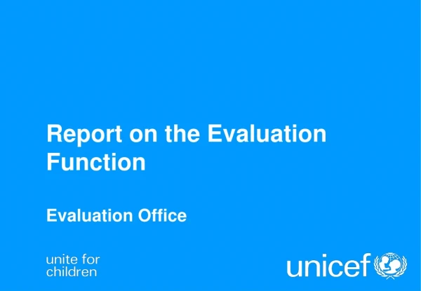 Report on the Evaluation Function