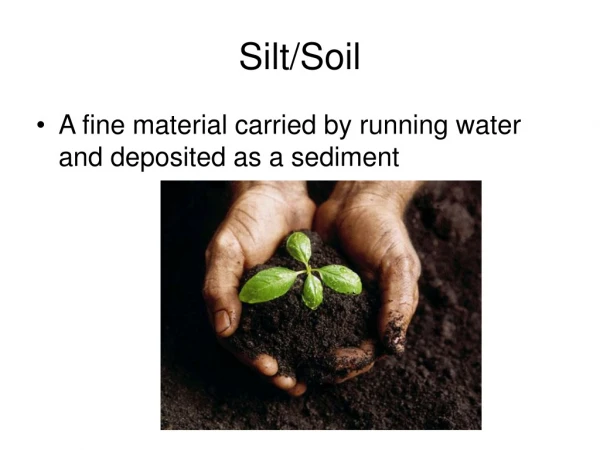 Silt/Soil