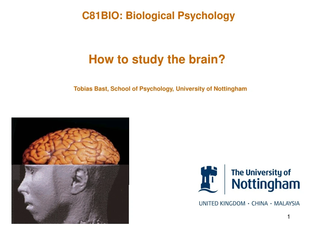 c81bio biological psychology