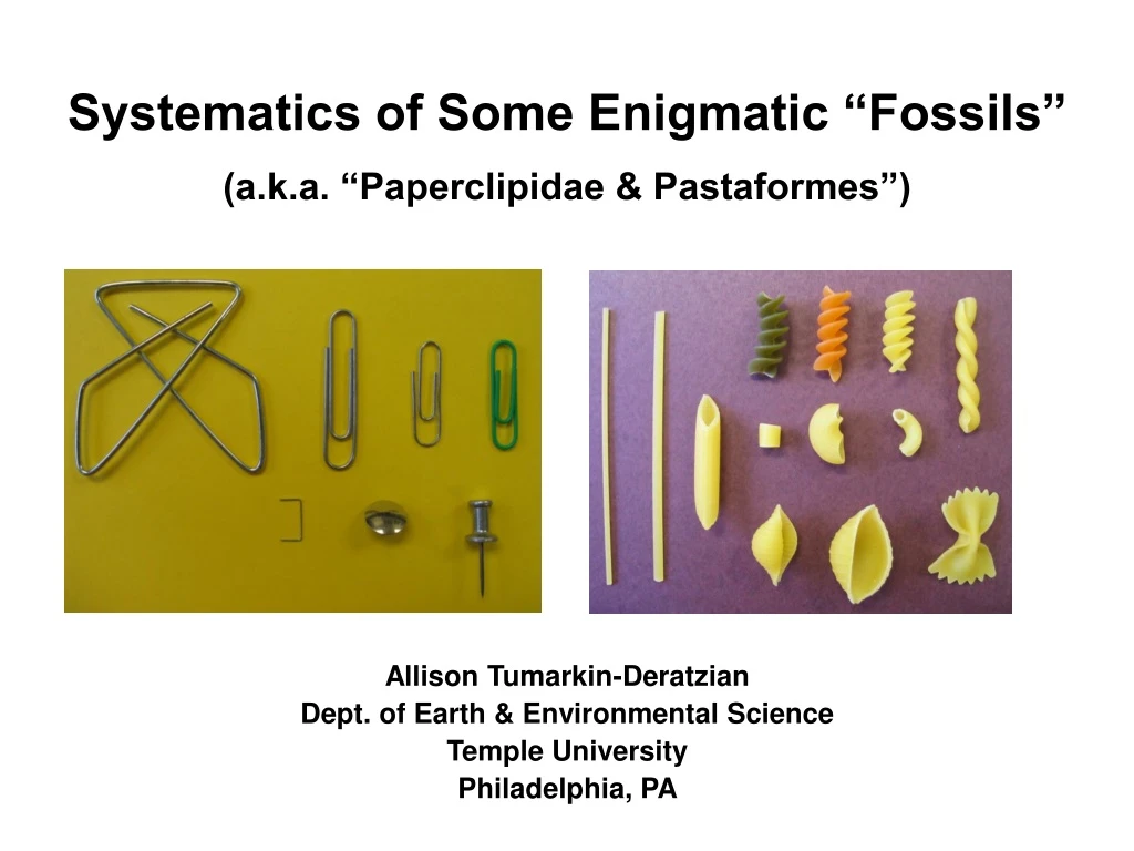 systematics of some enigmatic fossils