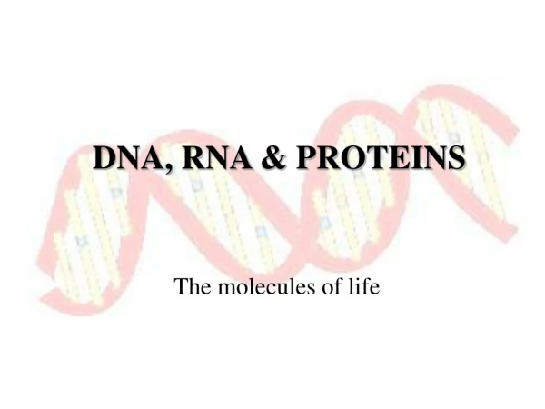 DNA, RNA &amp; PROTEINS