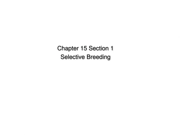Chapter 15 Section 1  Selective  Breeding