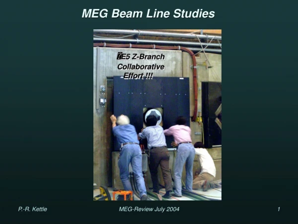 MEG Beam Line Studies