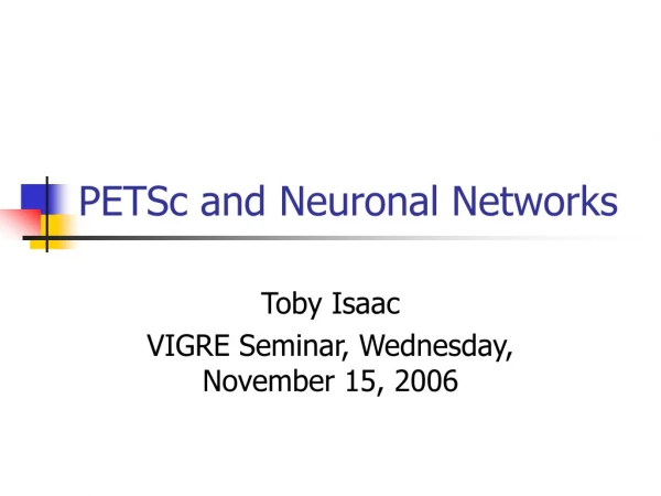 PETSc and Neuronal Networks