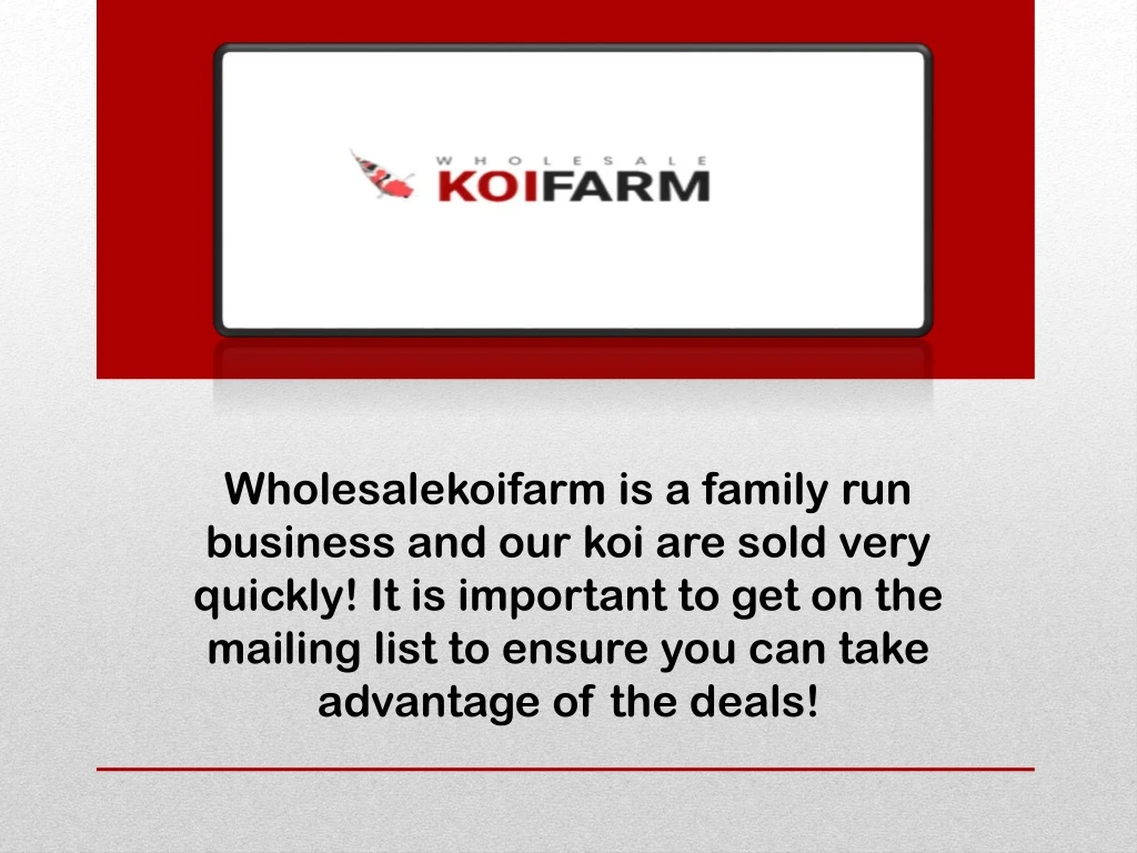 wholesalekoifarm is a family run business