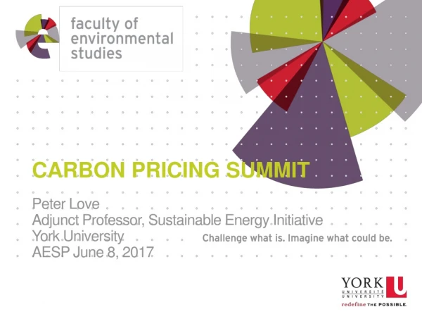 CARBON PRICING SUMMIT