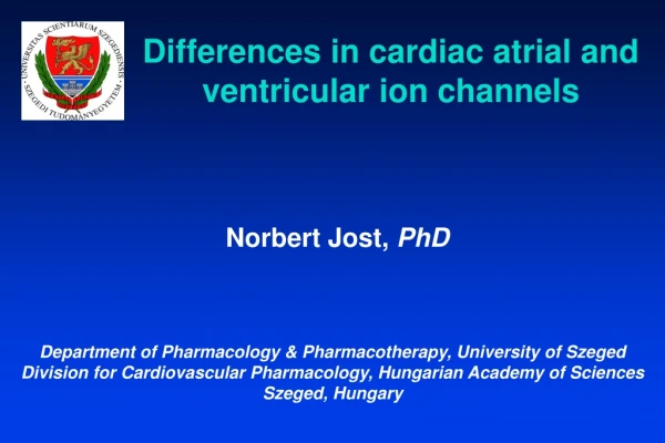 Differences in cardiac atrial and ventricular ion channels
