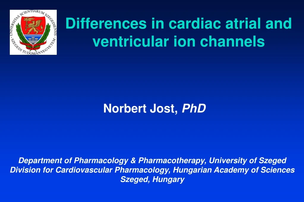 differences in cardiac atrial and ventricular ion channels