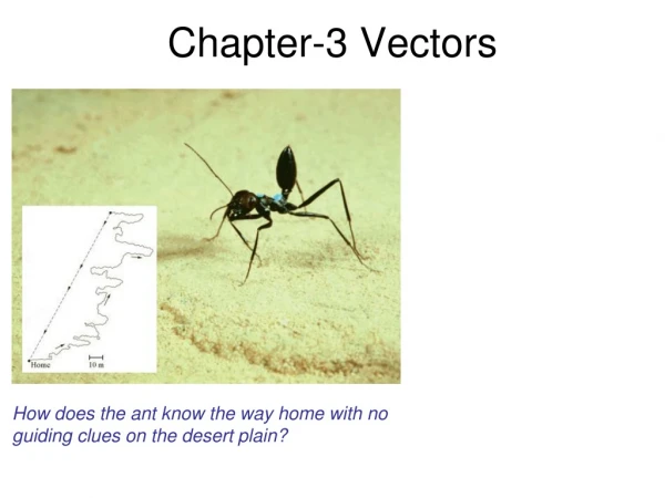 Chapter-3 Vectors