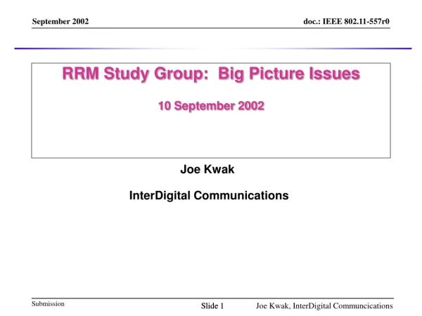 RRM Study Group:  Big Picture Issues 10 September 2002