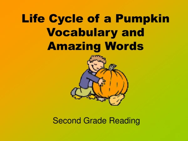 Life Cycle of a Pumpkin Vocabulary and  Amazing Words