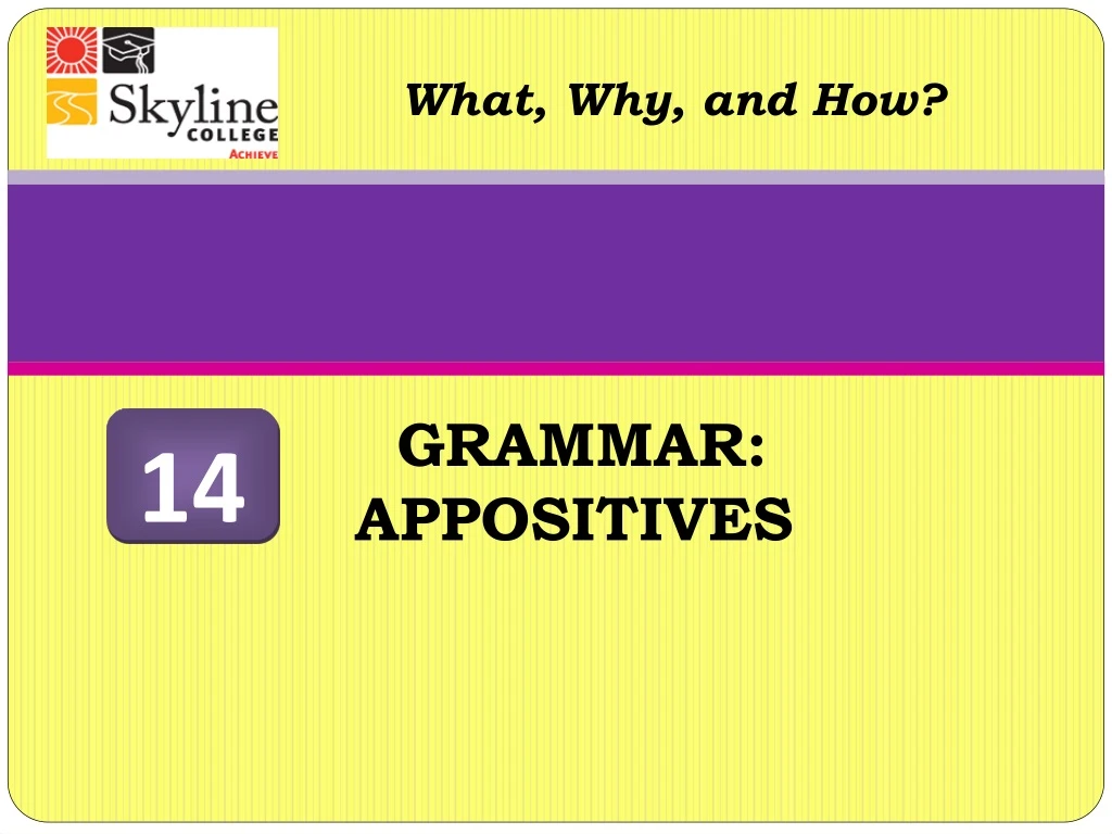 grammar appositives