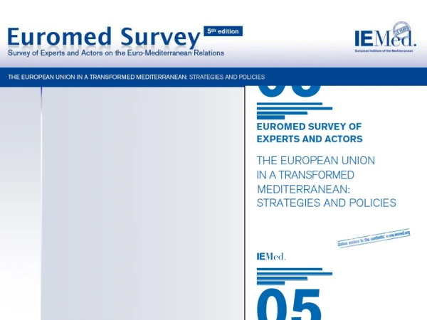 The IEMed has carried out five Surveys of actors and experts with