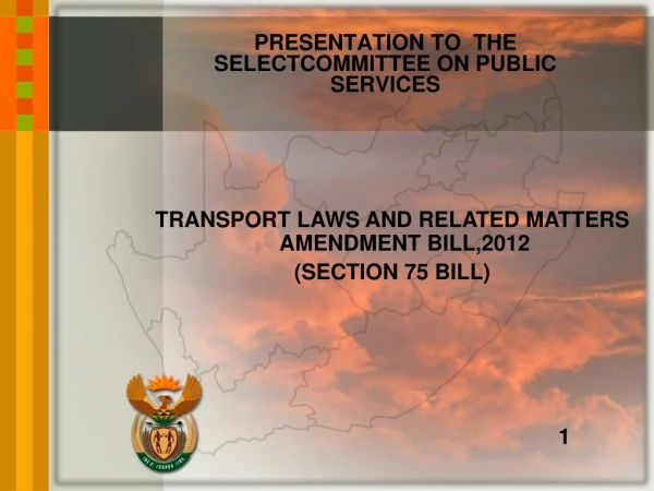 PRESENTATION TO  THE SELECTCOMMITTEE ON PUBLIC SERVICES