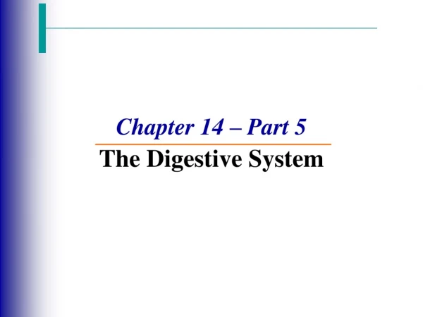 Chapter 14 – Part 5 The Digestive System