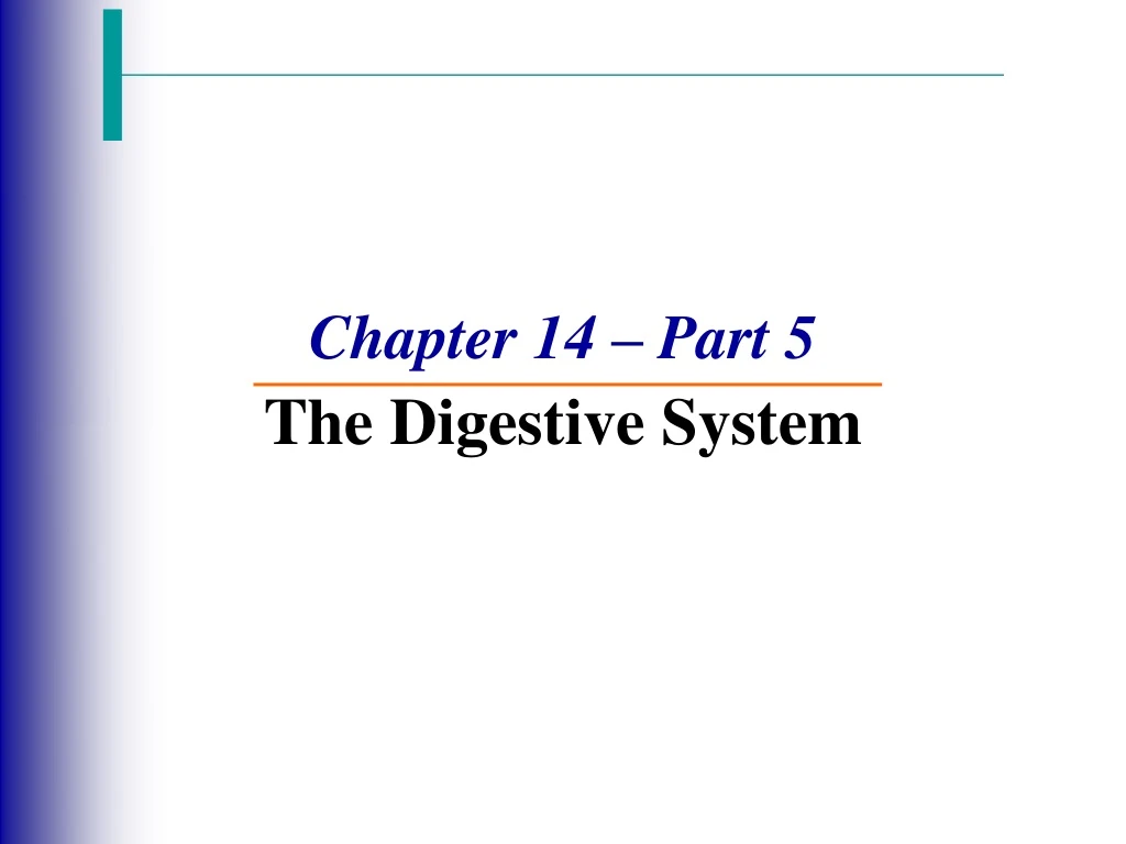 chapter 14 part 5 the digestive system