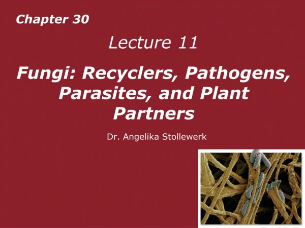 Lecture 11  Fungi: Recyclers, Pathogens, Parasites, and Plant Partners Dr. Angelika Stollewerk
