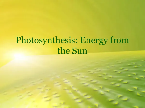 Photosynthesis: Energy from the Sun