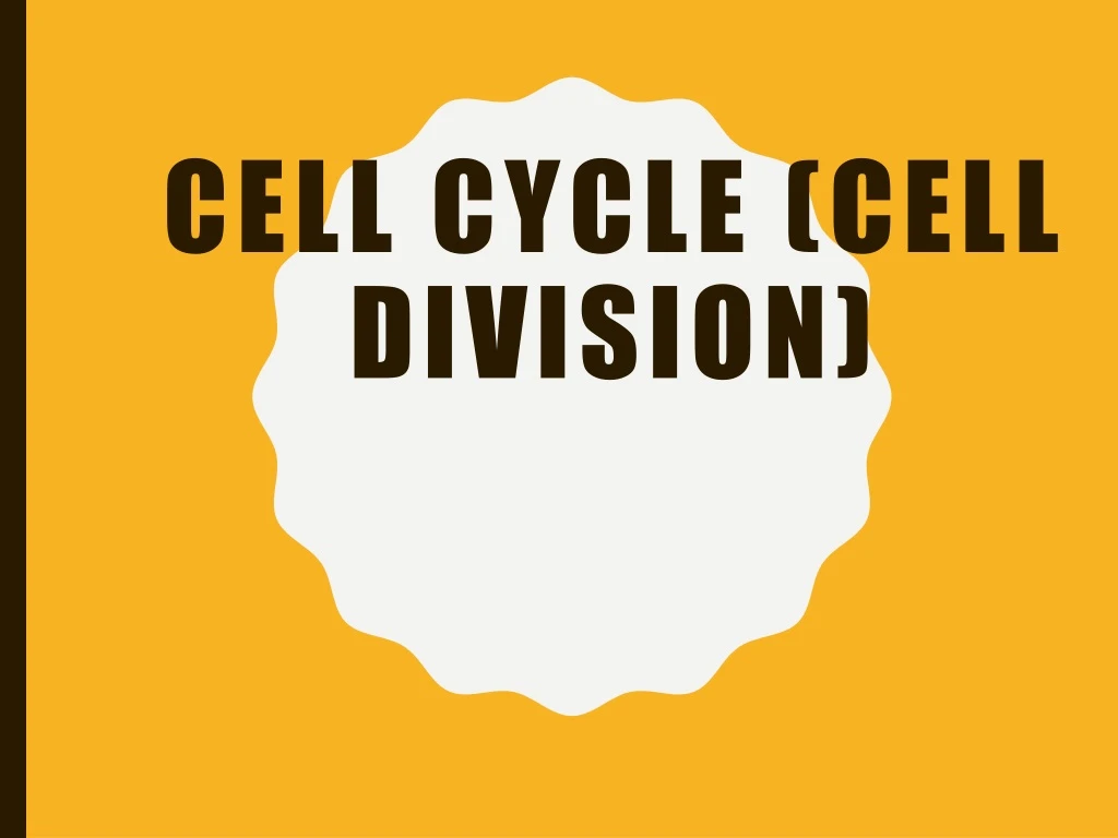 cell cycle cell division