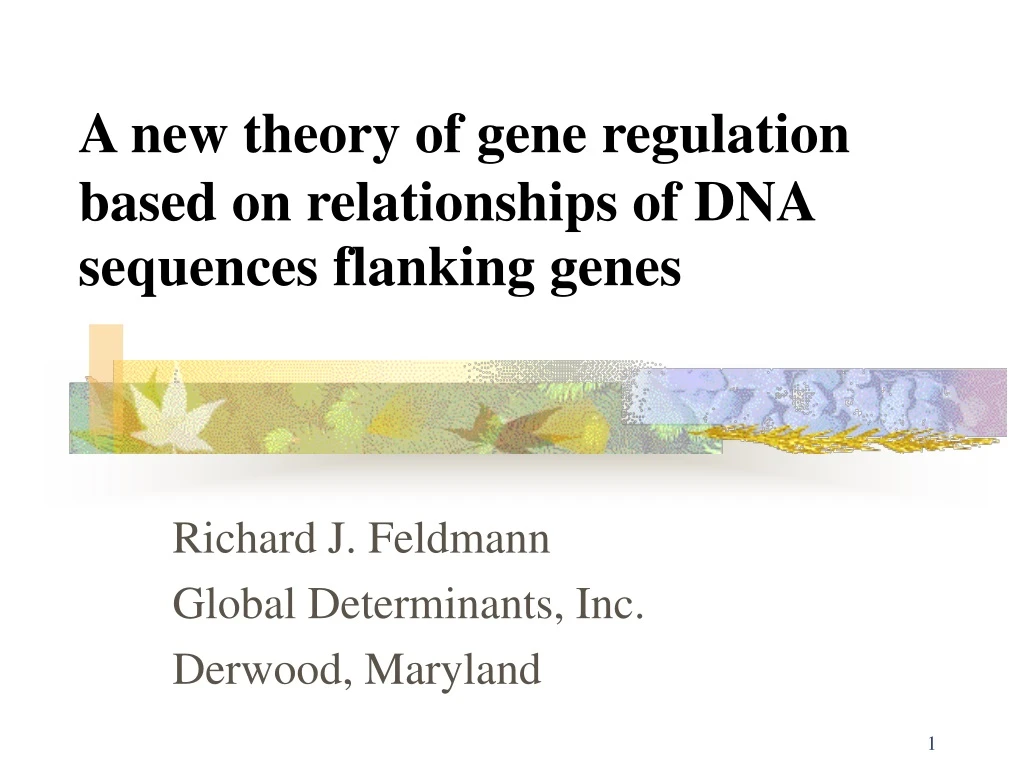 a new theory of gene regulation based on relationships of dna sequences flanking genes