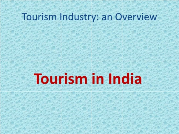 Tourism Industry: an Overview