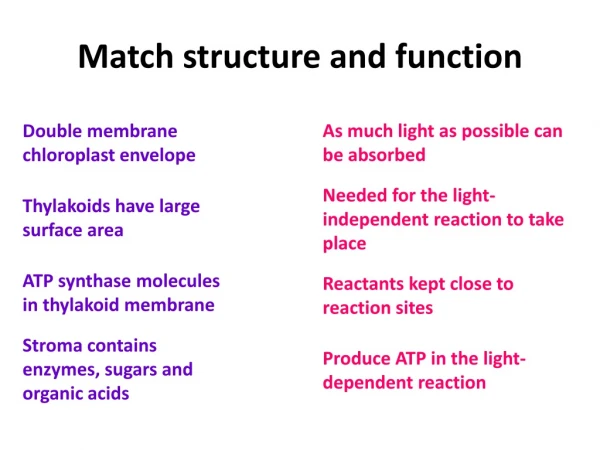Match structure and function