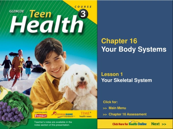 Chapter 16 Your Body Systems