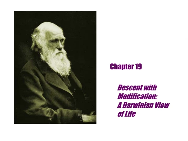 Chapter 19 Descent with Modification:                    A Darwinian View         of Life