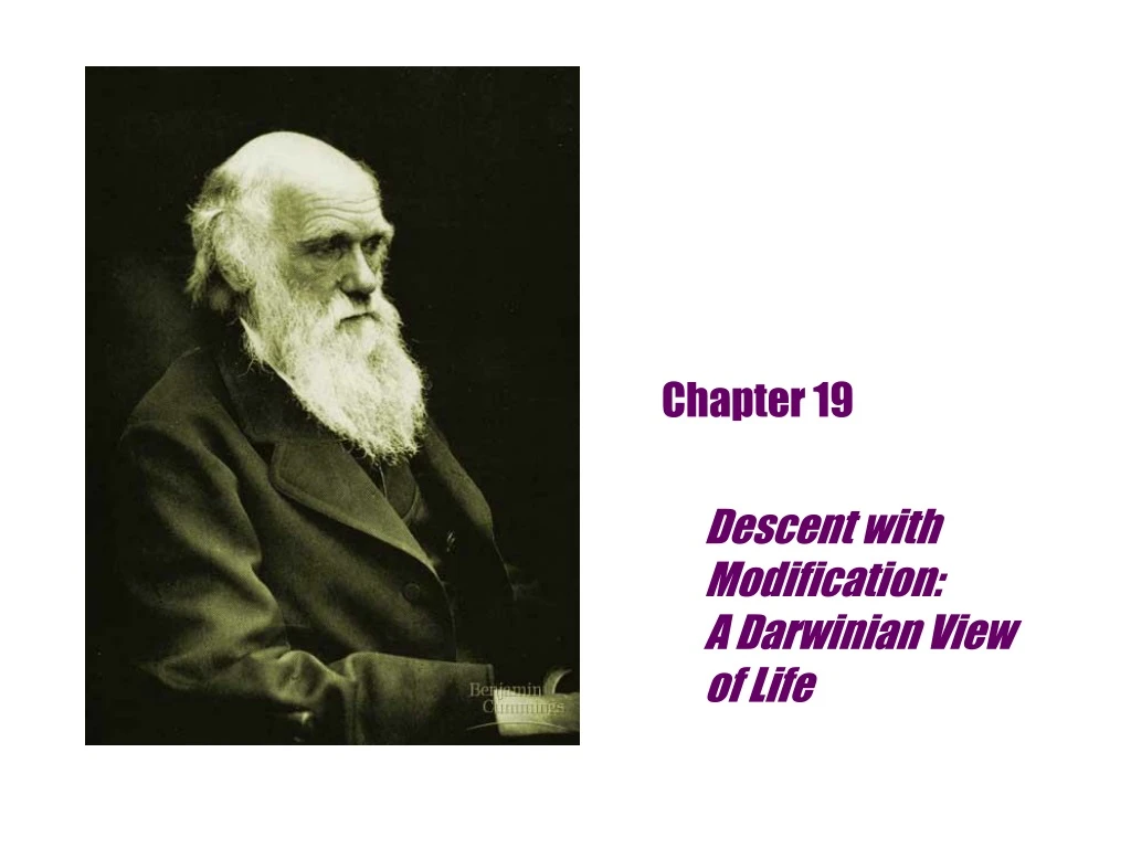 chapter 19 descent with modification a darwinian