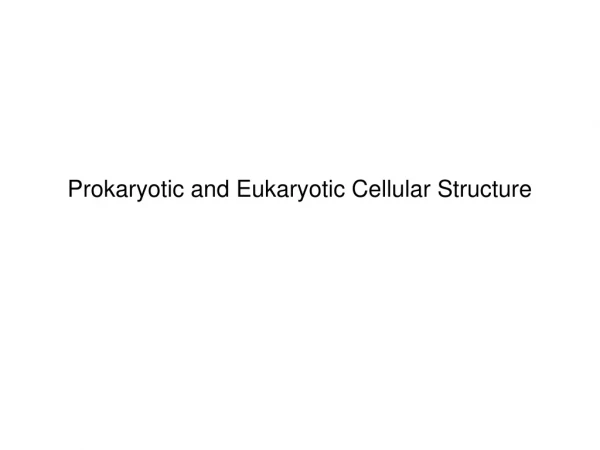Prokaryotic and Eukaryotic Cellular Structure