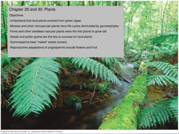 Chapter 29 and 30: Plants Objectives  -Understand that land plants evolved from green algae