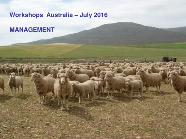 Workshops  Australia – July 2016 MANAGEMENT