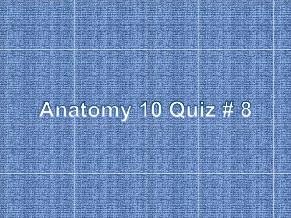 Anatomy 10 Quiz  # 8