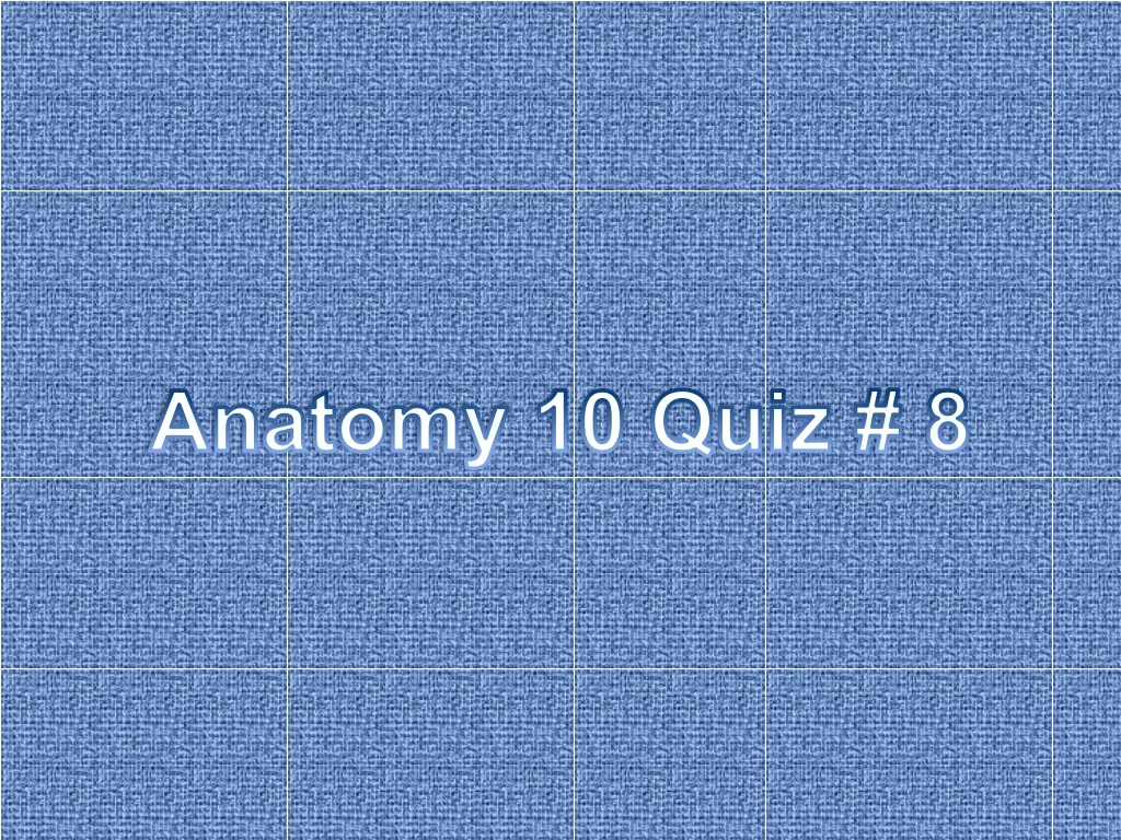 anatomy 10 quiz 8