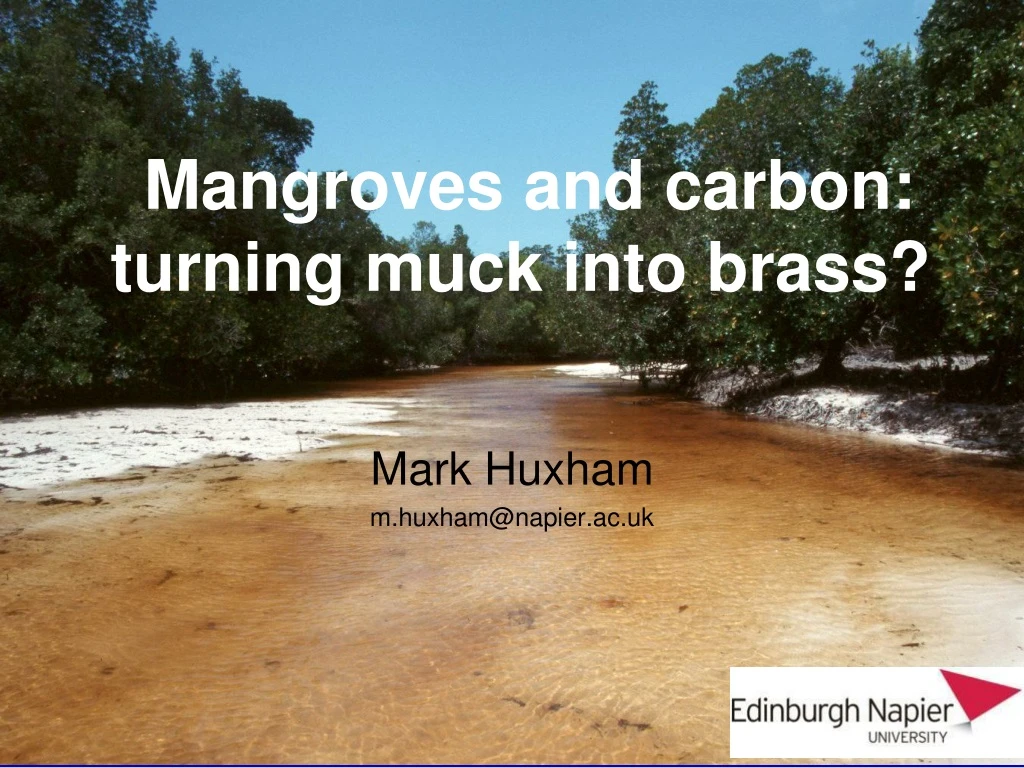 mangroves and carbon turning muck into brass