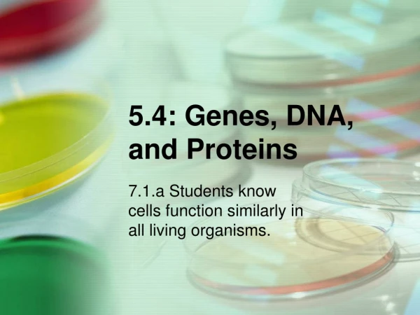 5.4: Genes, DNA,  and Proteins
